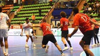 إلغاء أول مباراتين في البطولة الإفريقية للأندية أبطال الكئوس لكرة اليد