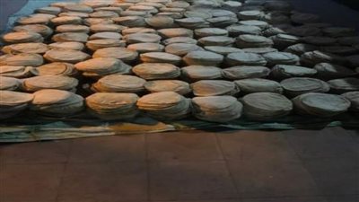 قبل تهريبهم للسوق السوداء..ضبط 15 طن قمح و4620 رغيف خبز مدعم بالشرقية 