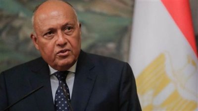 شكري: الرئيس السيسي على تواصل مستمر مع العديد من القادة لبحث حل الأزمة السودانية