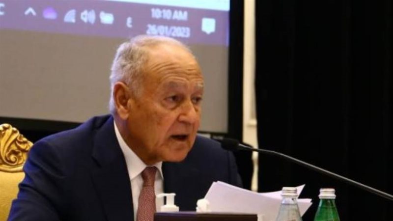 أبوالغيط يشارك في