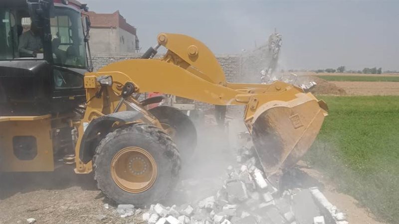 إزالة 916 حالة تعد