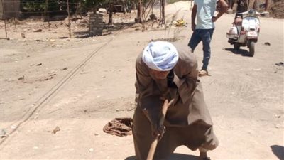 محافظ أسيوط: تنفيذ أعمال تشجير وزراعة شتلات بديروط ضمن مبادرة 