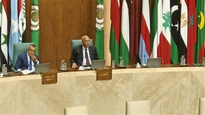  مندوب مصر: المجتمع الدولي مسئول بالحماية الدولية للفلسطينيين وإجبار إسرائيل على الكف عن جرائمها 