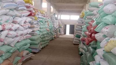 سنابل الذهب.. صوامع وشون محافظة البحيرة تستقبل ١٣٧ ألف طن قمح