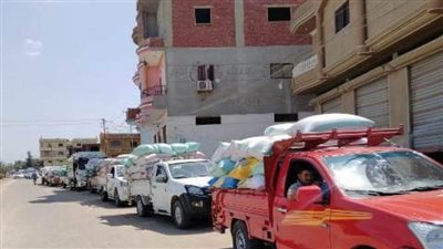 توريد 395557 ألف طن قمح للصوامع والشون بالشرقية