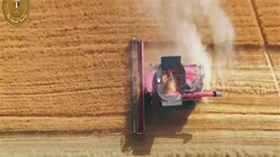 موسوعة جينيس: مصر تحطم الرقم القياسي بأكبر مزرعة نخيل تمور وحوض سحب مياه في العالم