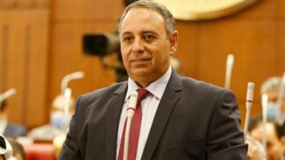 تيسير مطر: علينا أن نبحث عن أي الأنظمة الانتخابية المناسبة لوطننا ولشعبنا