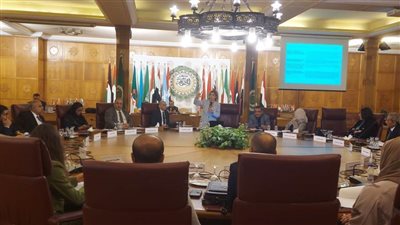 الجامعة العربية والأمم المتحدة يناقشان الاتفاقيات البيئية للتصحر والتنوع البيولوجي