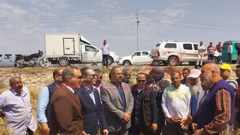 زراعة القمح بكفرالشيخ