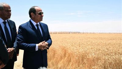 افتتاح مصنع إنتاج البطاطس بشرق العوينات × صور