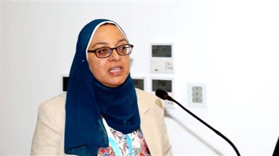 بالتزكية.. غادة أحمدين عضوًا بالمجلس العالمي لشبكة الحد من مخاطر الكوارث