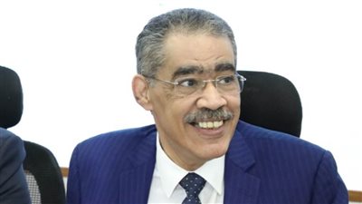 ضياء رشوان: تلقي المقترحات حول النظام الانتخابي المقترح لمدة أسبوع