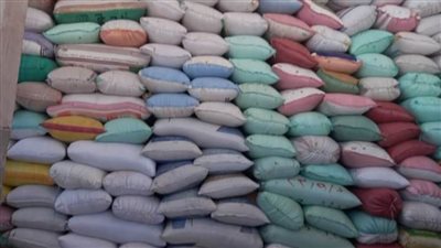 استمرار أعمال توريد القمح.. صوامع وشون البحيرة تستقبل ١٥٥ ألف طن قمح