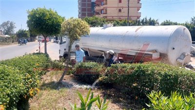 زراعة 175 ألف شجرة بالميادين والمدارس ومراكز الشباب بكفر الشيخ