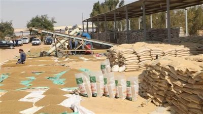 محافظ الوادي الجديد يعلن اعتماد 