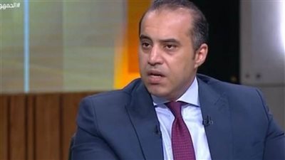 المستشار محمود فوزى: القائمة المطلقة دستورية وتحقق النسب الدستورية للكوتة