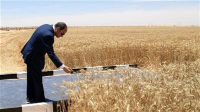 بالفيديو.. الرئيس السيسي يشهد افتتاح موسم حصاد القمح من شرق العوينات
