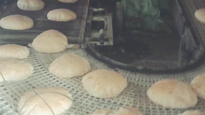 جانب من الحملة