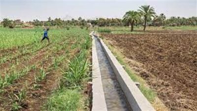 توسيع الرقعة الزراعية بدون التأثير على حصة مصر في مياه النيل...مصر تحقق المعادلة الصعبة
