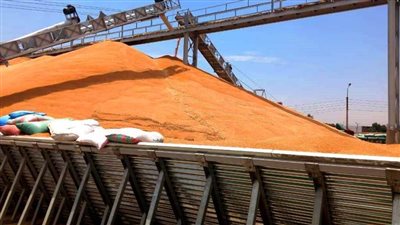 توريد 40 ألف طن قمح لشون وصوامع سوهاج