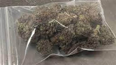 جمارك مطار الغردقة الدولي تضبط محاولة تهريب كمية من مخدر الماريجوانا