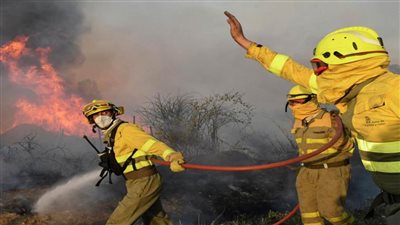 اليونان تستقبل أكثر من 180 رجل إطفاء في فصل الصيف تأهبًا لحدوث حرائق بالغابات