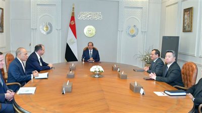 عاجل.. تفاصيل لقاء الرئيس السيسي مع الرئيس التنفيذي لـ 