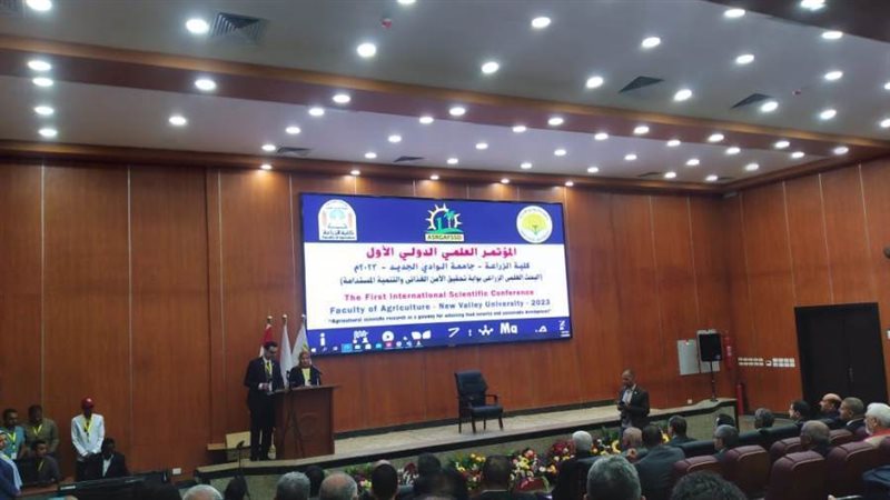 جامعة الوادي الجديد