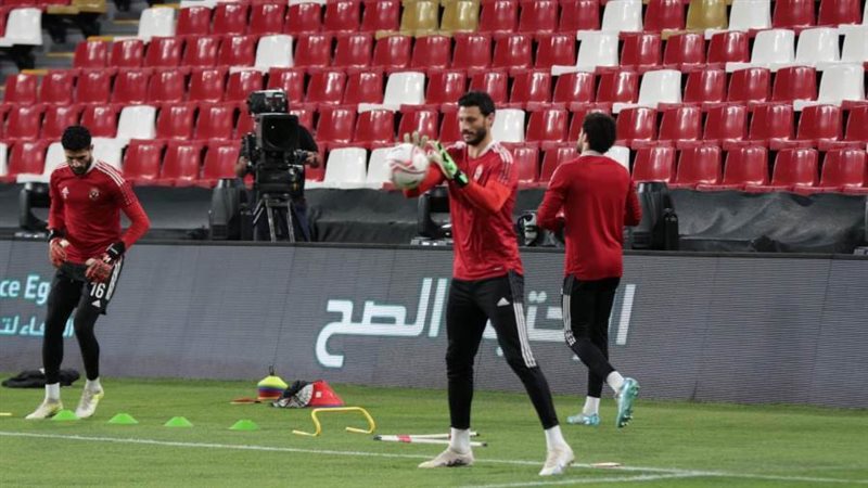 محمد الشناوي