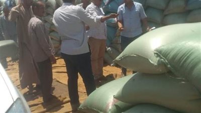 توريد 246 ألف طن من محصول القمح بشون وصوامع محافظة المنيا 