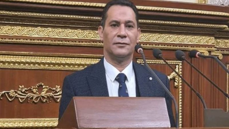 النائب أحمد عاشورعضو