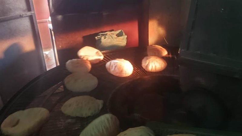 مخابز كفرالشيخ