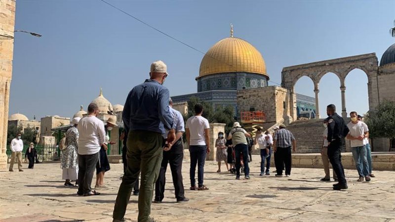 قوات الاحتلال