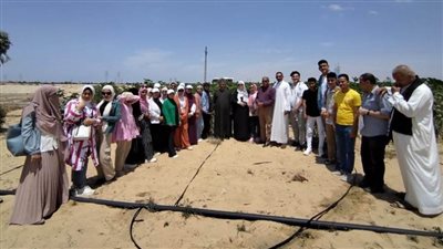 رحلة علمية لطلاب زراعة العريش وزيارة ميدانية