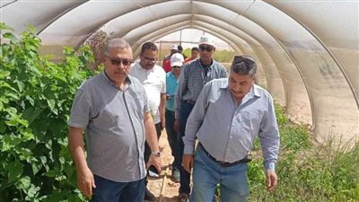 وكيل وزارة الزراعة في جولة تفقدية لمواقع مشروعات إنتاج الحرير بالوادي الجديد