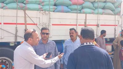 ضبط 3 سيارات محملة بـ74 طنًا من محصول القمح بهدف الاحتكار بمركزي المنيا والعدوة