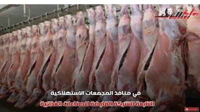 لحوم بـ195 جنيهًا في المجمعات الاستهلاكية.. تعرف على التفاصيل
