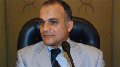 عضو أمناء الحوار الوطني: ميل المصريين للاستقلالية دون التواجد بالأحزاب 