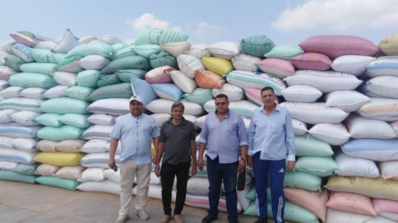 توريد 207 ألف طن