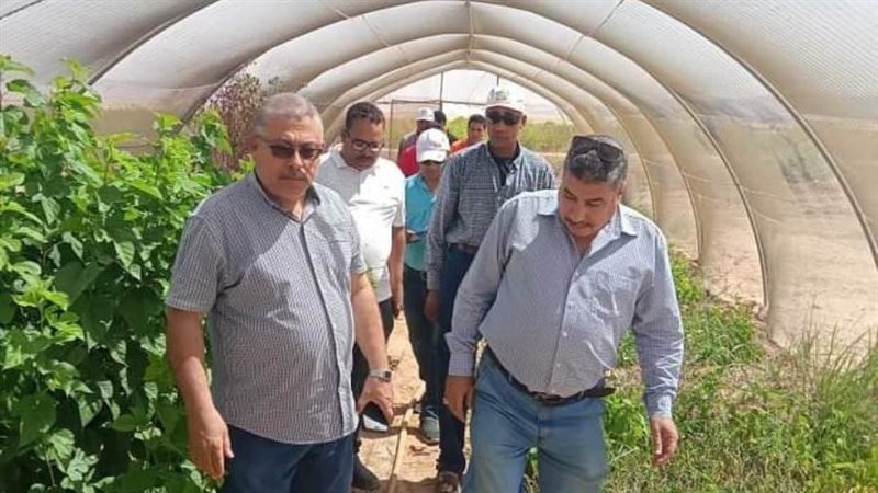 وكيل وزارة الزراعة