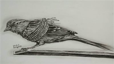 مواهب شابة تدعمها بوابة روزاليوسف بريشة الفنانة شهد المهدي (14)