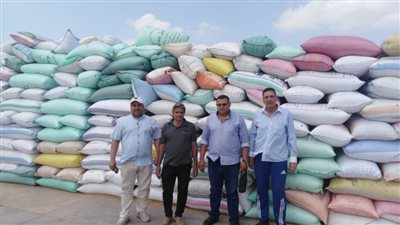 توريد 224 ألف طن قمح للشون والصوامع بالبحيرة