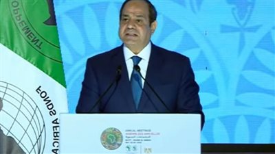 الرئيس السيسي: معطيات الواقع الاقتصادي تفرض ضرورة تحفيز القطاع الخاص