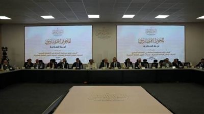 عضو التنسيقية يطالب بالاستغلال الأمثل للمناطق الحرة وتثبيت أسعار الطاقة للمصانع لتشجيع الاستثمار