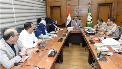 محافظ الدقهلية يتابع الأعمال النهائية لمبادرة 