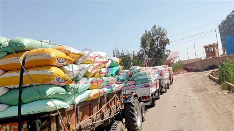 توريد واستلام القمح