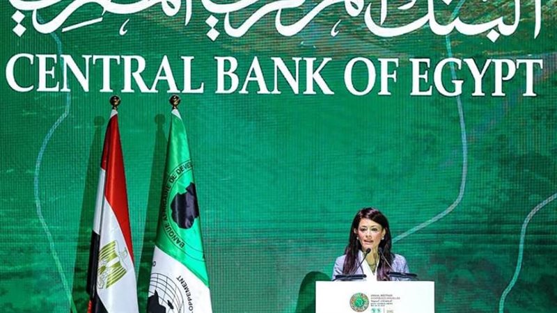 وزيرة التعاون الدولي