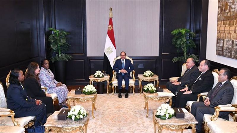 الرئيس عبد الفتاح