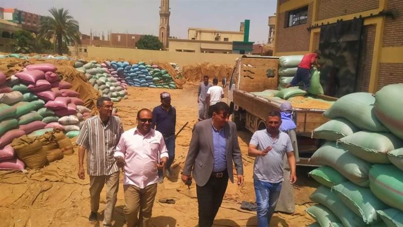 توريد محصول القمح