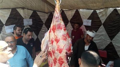 المنيا.. فتح منافذ لبيع اللحوم البلدية بأسعار مخفضة للمواطنين ببني مزار ومطاي 